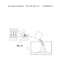 HYBRID COMPOSITE HYDROPONIC SUBSTRATE SYSTEM diagram and image