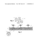 HYBRID COMPOSITE HYDROPONIC SUBSTRATE SYSTEM diagram and image