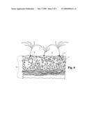 HYBRID COMPOSITE HYDROPONIC SUBSTRATE SYSTEM diagram and image