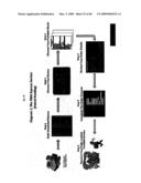 Method And Apparatus For Generating And Updating A Pre-Categorized Song Database From Which Consumers May Select And Then Download Desired Playlists diagram and image