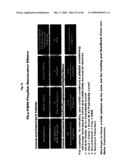 Method And Apparatus For Generating And Updating A Pre-Categorized Song Database From Which Consumers May Select And Then Download Desired Playlists diagram and image