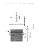 NOTCH STRUCTURE FOR CONCENTRATING MODULE AND METHOD OF MANUFACTURE USING PHOTOVOLTAIC STRIPS diagram and image