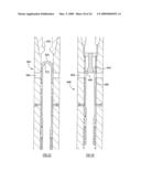 Downhole Tool diagram and image