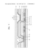 ORGANIC LIGHT EMITTING DISPLAY APPARATUS diagram and image