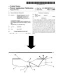 Image display apparatus diagram and image