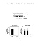 Use of 15-Lipoxygenase Inhibitors for Treating Obesity diagram and image