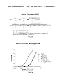 COVALENT DIABODIES AND USES THEREOF diagram and image