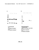 DEIMMUNIZED MONOCLONAL ANTIBODIES FOR PROTECTION AGAINST HIV EXPOSURE AND TREATMENT OF HIV INFECTION diagram and image