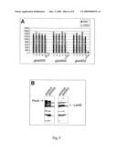 S. AGALACTIAE ANTIGENS I & II diagram and image