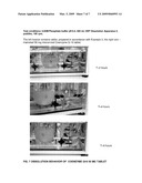 SOLID PHARMACEUTICAL COMPOSITION FOR ENHANCED DELIVERY OF COENZYME Q-10 AND UBIQUINONES diagram and image