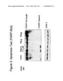 Composition For The Prevention and Treatment Of Common Cold Diseases diagram and image