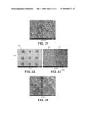 Expanded PTFE Articles and Method of Making Same diagram and image