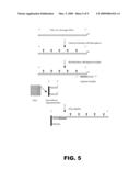 UNIVERSAL LIGATION ARRAY FOR ANALYZING GENE EXPRESSION OR GENOMIC VARIATIONS diagram and image