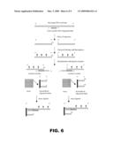 UNIVERSAL LIGATION ARRAY FOR ANALYZING GENE EXPRESSION OR GENOMIC VARIATIONS diagram and image