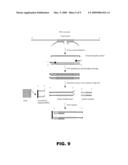 UNIVERSAL LIGATION ARRAY FOR ANALYZING GENE EXPRESSION OR GENOMIC VARIATIONS diagram and image