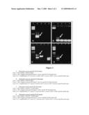 PRIMER COMPOSITION AND A KIT USEFUL FOR THE IDENTIFICATION OF PHYLLANTHUS diagram and image