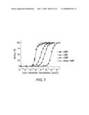 Screening assay to identify non-ATP-competitors targeting protein kinase A diagram and image