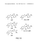 Screening assay to identify non-ATP-competitors targeting protein kinase A diagram and image