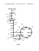 FLUX BALANCE ANALYSIS WITH MOLECULAR CROWDING diagram and image