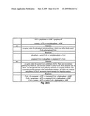 FLUX BALANCE ANALYSIS WITH MOLECULAR CROWDING diagram and image