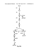 FLUX BALANCE ANALYSIS WITH MOLECULAR CROWDING diagram and image