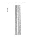 Methods and compositions for detecting colon cancers diagram and image