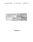 ANTI-ANGIOGENIC POLYPEPTIDES diagram and image