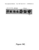 ANTI-ANGIOGENIC POLYPEPTIDES diagram and image