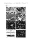 Cell culture apparatus and methods of making and using same diagram and image