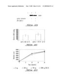 DNA BINDING PROTEIN diagram and image