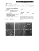 Composite catalytic material and process for manufacture of such material diagram and image