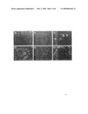 Composite catalytic material and process for manufacture of such material diagram and image