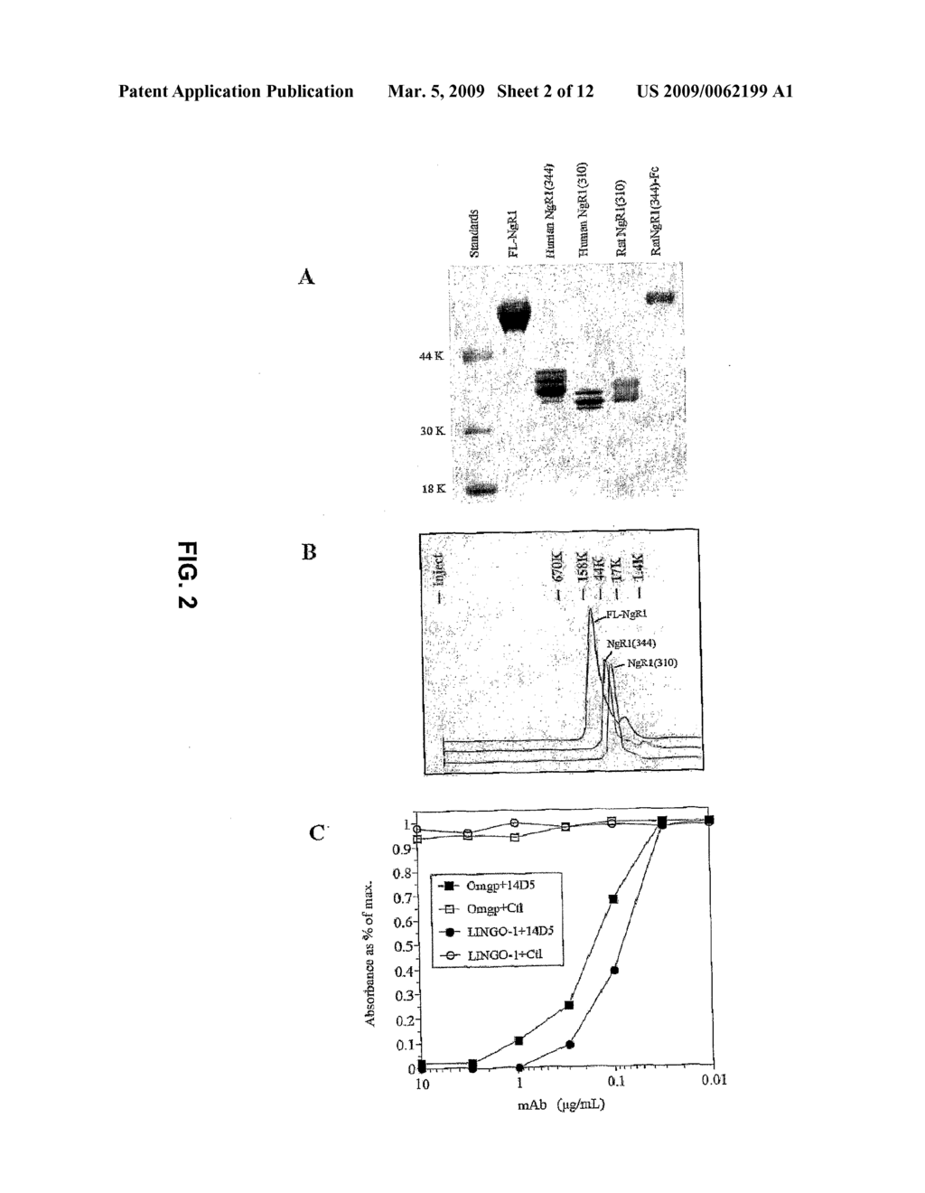 Nogo Receptor Polypeptides and Polypeptide Fragments and Uses Thereof - diagram, schematic, and image 03