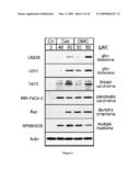 METHODS AND COMPOSITIONS FOR INDUCING APOPTOSIS BY STIMULATING ER STRESS diagram and image