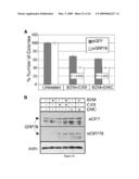 METHODS AND COMPOSITIONS FOR INDUCING APOPTOSIS BY STIMULATING ER STRESS diagram and image