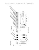 METHODS FOR INHIBITING TGF-beta diagram and image