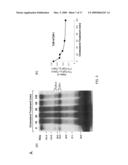 METHODS FOR INHIBITING TGF-beta diagram and image