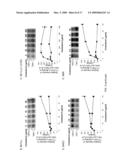 METHODS FOR INHIBITING TGF-beta diagram and image