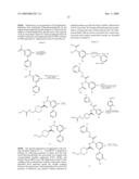 SUBSTITUTED BIARYL COMPOUNDS AS FACTOR XIA INHIBITORS diagram and image