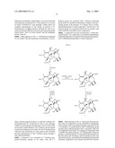 Preparation of Taxanes From 9-Dihydro-13-Acetylbaccatin III diagram and image