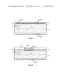 SYSTEM AND APPARATUS FOR SONODYNAMIC THERAPY diagram and image