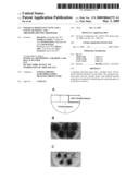 Paraquat Resistance Gene and a Vascular Tissue- and Trichome-specific Promoter diagram and image