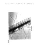 Paraquat Resistance Gene and a Vascular Tissue- and Trichome-specific Promoter diagram and image