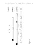 Use of untranslated region of osmotin gene to enhance transgene expression in plants diagram and image