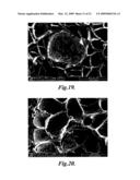 FOAMING METHODS FOR MAKING CELLULAR THERMOPLASTIC MATERIALS diagram and image