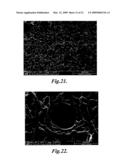 FOAMING METHODS FOR MAKING CELLULAR THERMOPLASTIC MATERIALS diagram and image