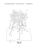 Floral easel diagram and image