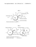 QUANTIZED CHANNEL STATE INFORMATION PREDICTION IN MULTIPLE ANTENNA SYSTEMS diagram and image