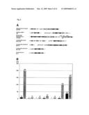 LANTIBIOTICS AND USES THEREOF diagram and image