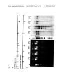 LANTIBIOTICS AND USES THEREOF diagram and image